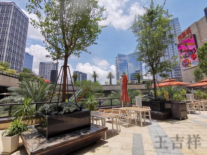 万博在哪里玩更方便详细入口说明 万博在哪里玩更方便详细入口说明